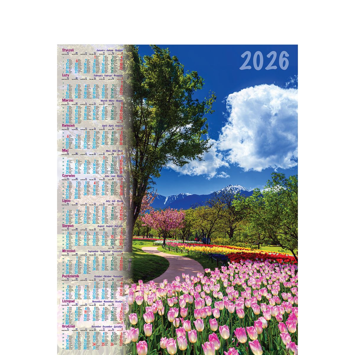 Kalendarz ścienny (401000) k:2915-377 PARK plakatowy 670mm x 988mm Telegraph (04)