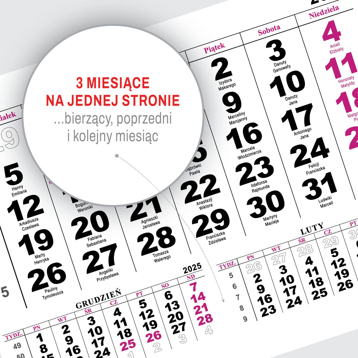 Kalendarz ścienny (401000) k:2915-377 JEDNODZIELNY PIES A4 210mm x 295mm Press