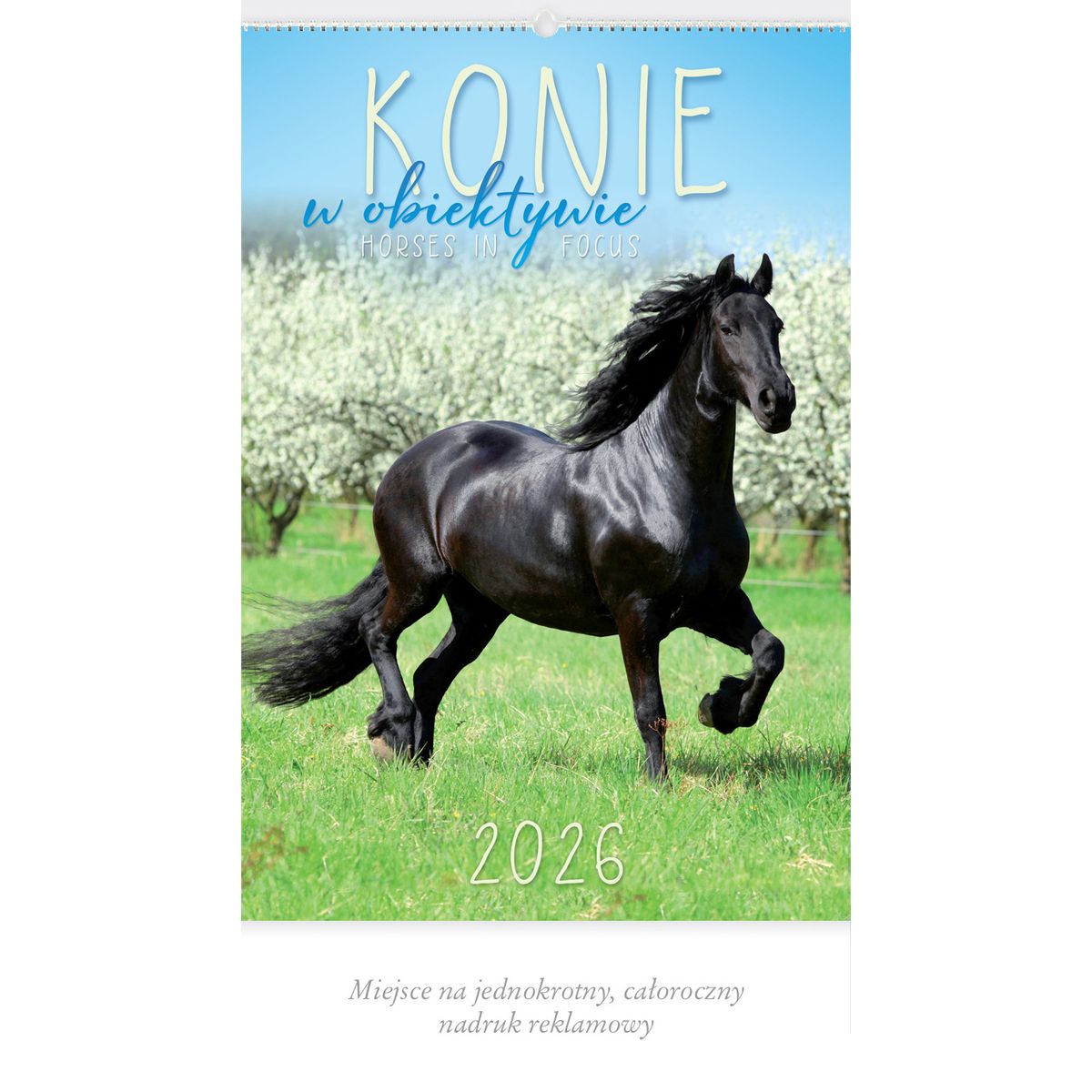 Kalendarz ścienny (401000) k:2915-377 13-planszowe 320mm x 470mm Lucrum (RW14)