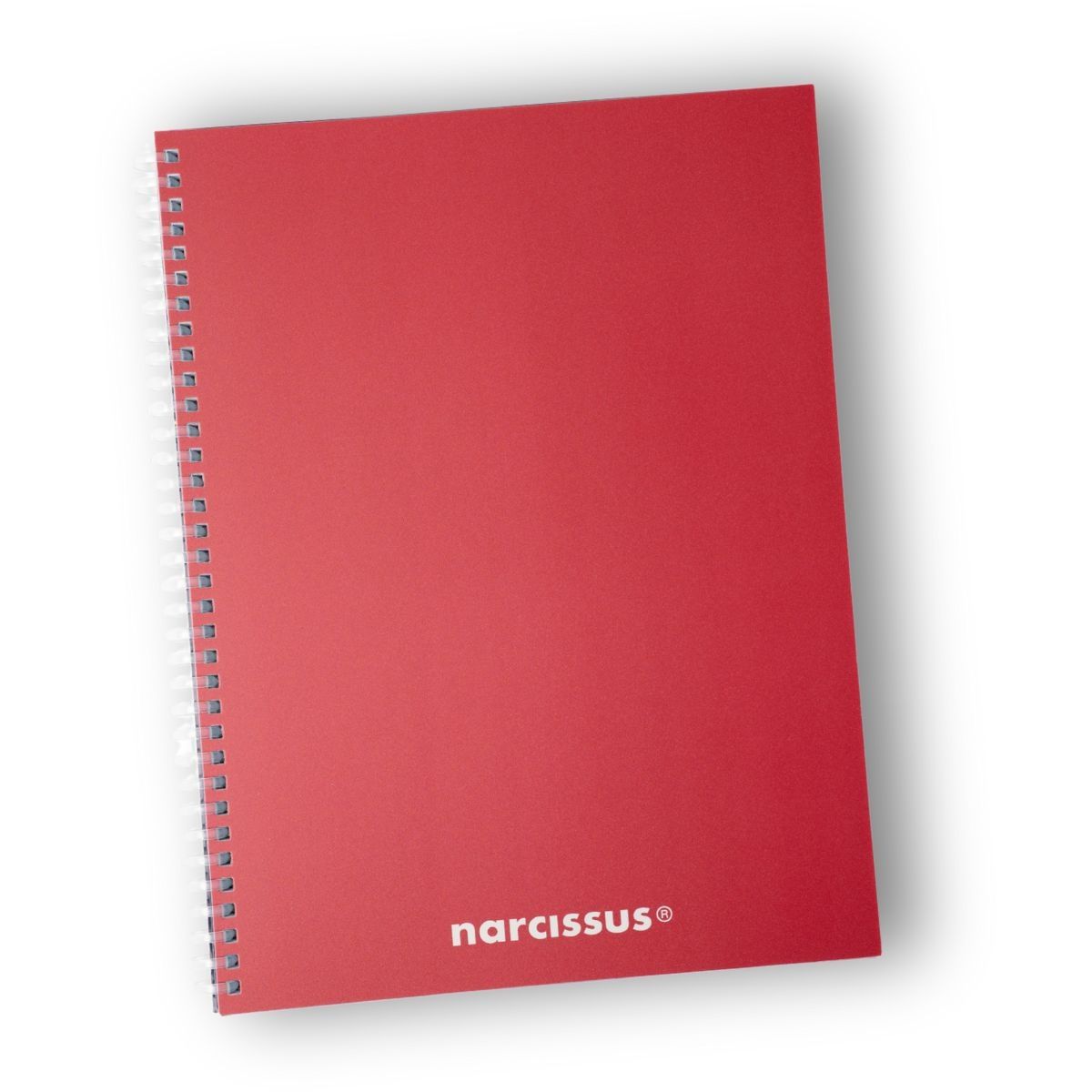 Notes Narcissus Swing Mono A4 80k. krata