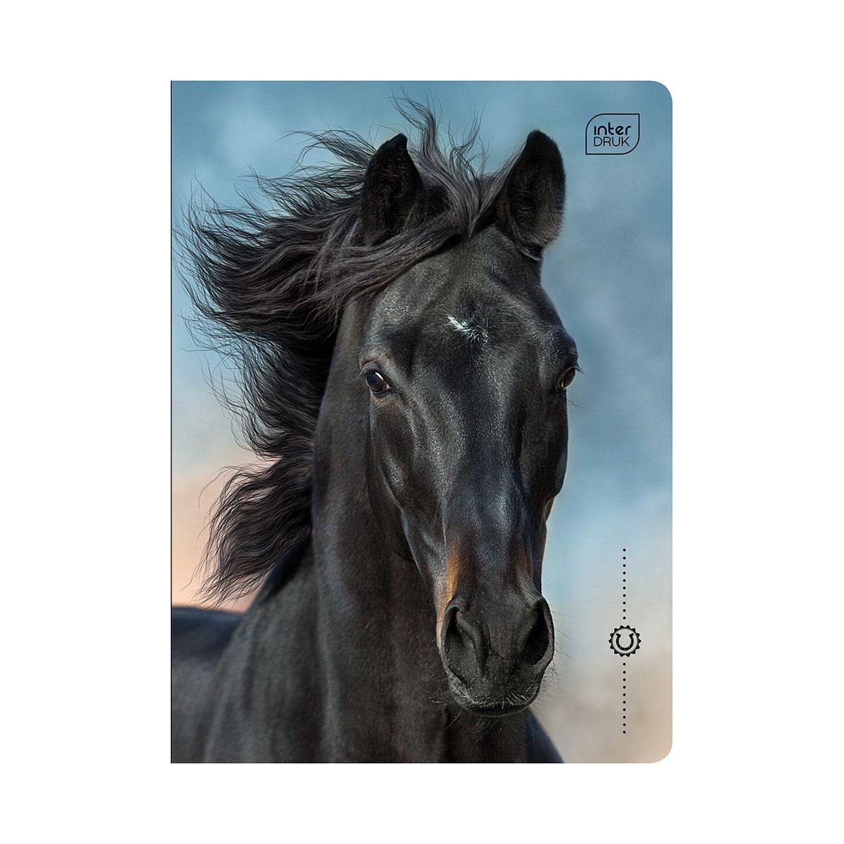 Zeszyt Interdruk WILD HORSES A5 16k. 70g linia kolor