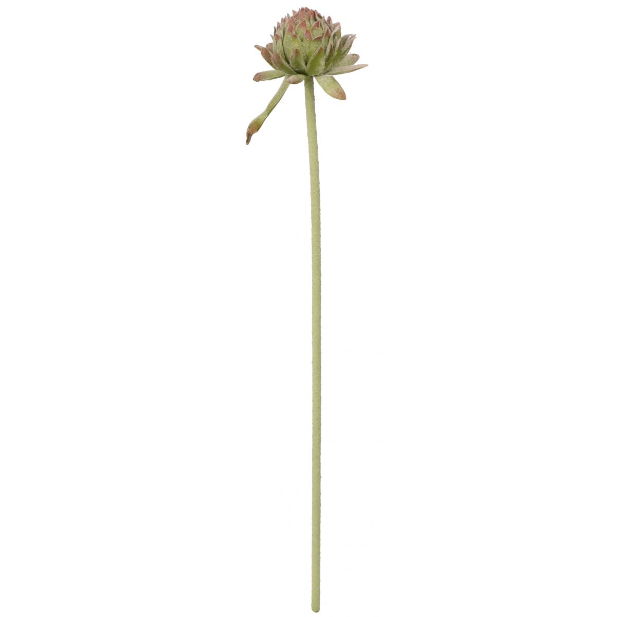 Kwiaty karczoch 60cm Home And Garden (8219)