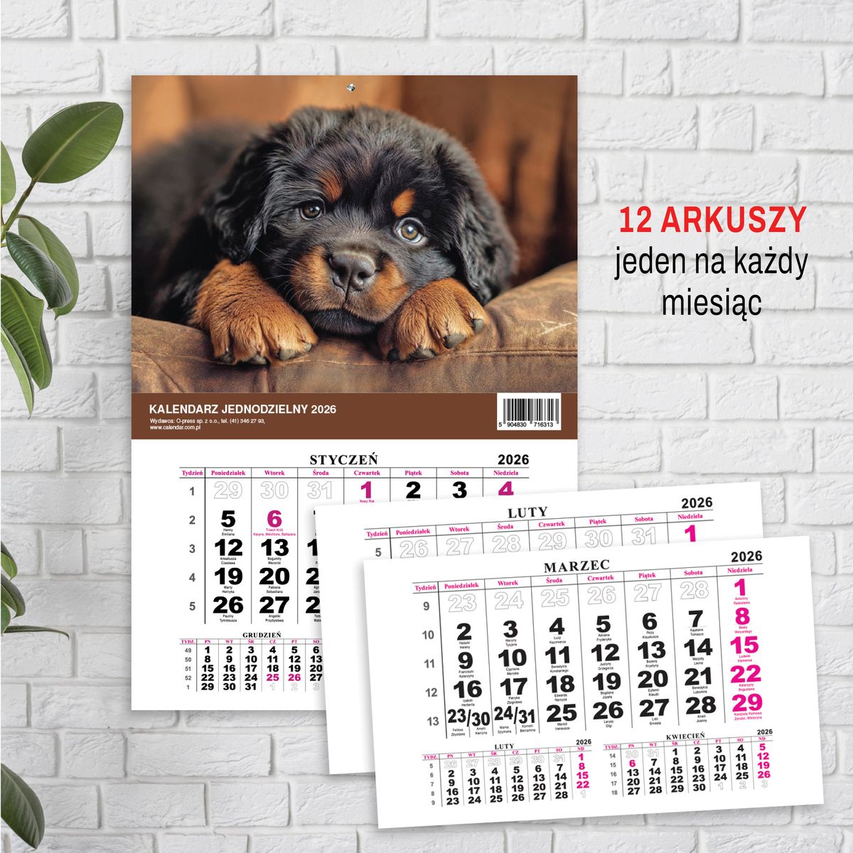 Kalendarz ścienny (401000) k:2915-377 JEDNODZIELNY PIES A4 210mm x 295mm Press