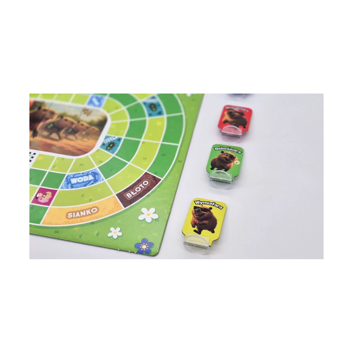 Gra planszowa Kapibary na Start Alexander