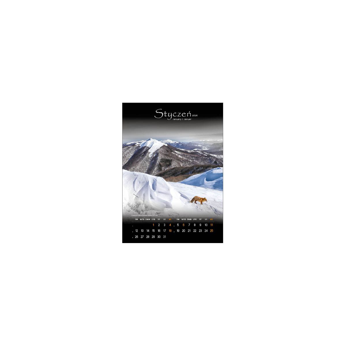 Kalendarz ścienny TAJEMNICZE BIESZCZADY WIELOPLANSZOWY 330mm x 500mm Jotan (WP127)