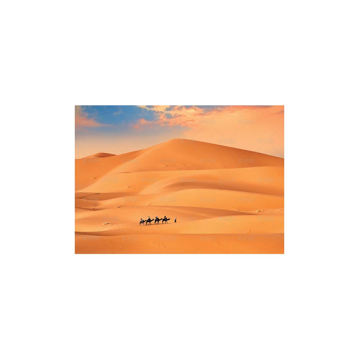 Kalendarz ścienny (401000) k:2915-377 13-planszowe 320mm x 470mm Lucrum (RW11)