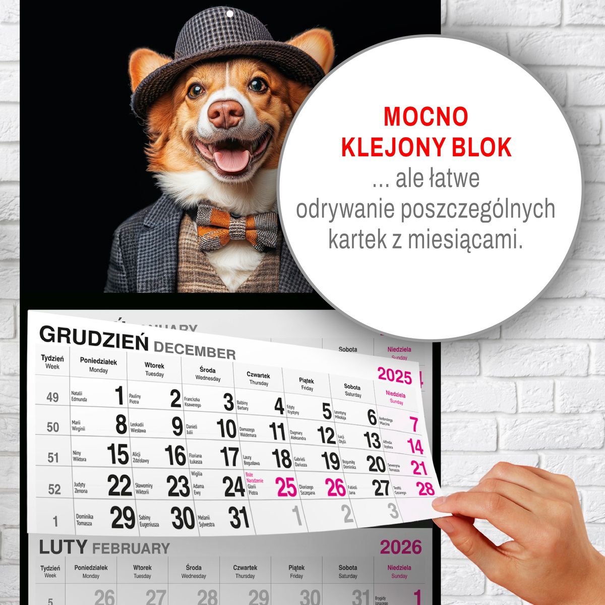 Kalendarz ścienny (401000) k:2915-377 PIES 310mm x 790mm Press