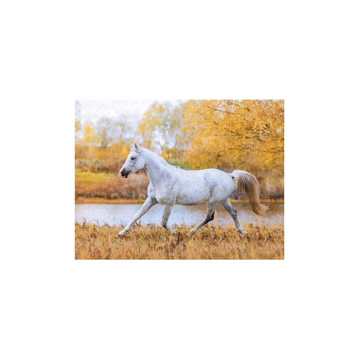 Kalendarz ścienny (401000) k:2915-377 13-planszowe 320mm x 470mm Lucrum (RW14)