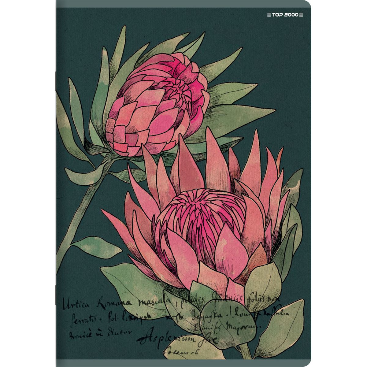 Zeszyt FLOWERS A5 32k. 70g linia Top 2000 (400169418)