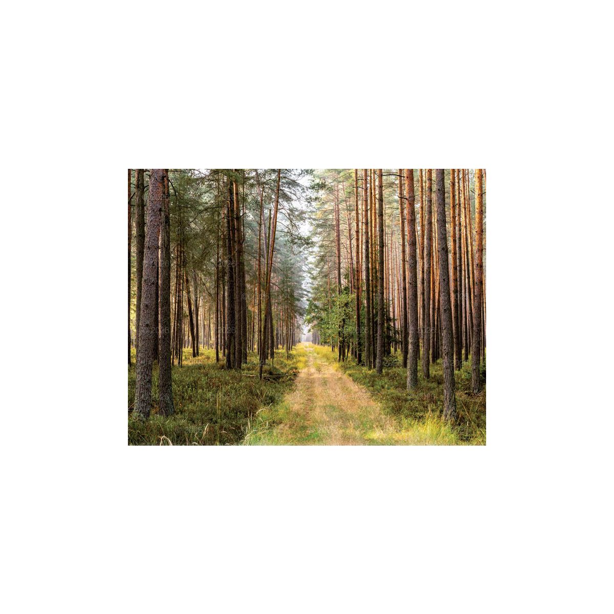 Kalendarz ścienny (401000) k:2915-377 13-planszowe 320mm x 470mm Lucrum (RW04)