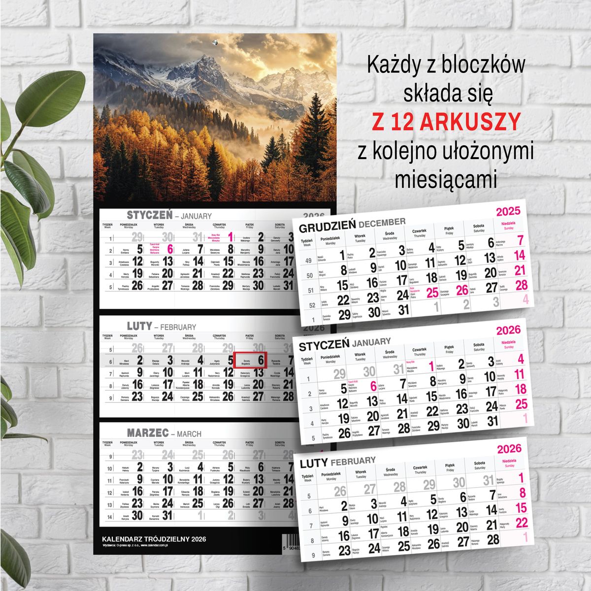 Kalendarz ścienny (401000) k:2915-377 GÓRY A5 250mm x 450mm Press