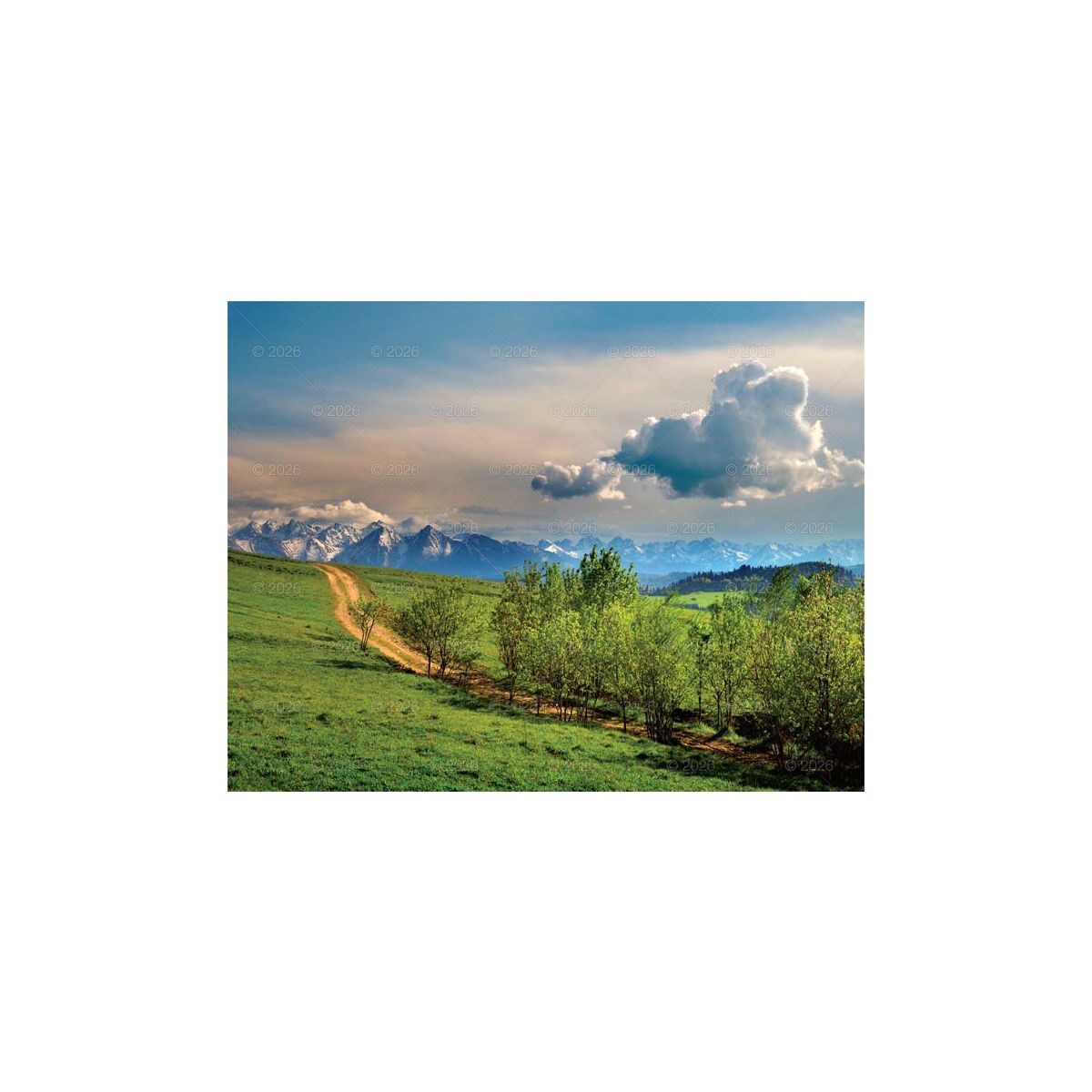Kalendarz ścienny (401000) k:2915-377 PEJZAŻE POLSKIE 13-planszowe 320mm x 470mm Lucrum (RW01)