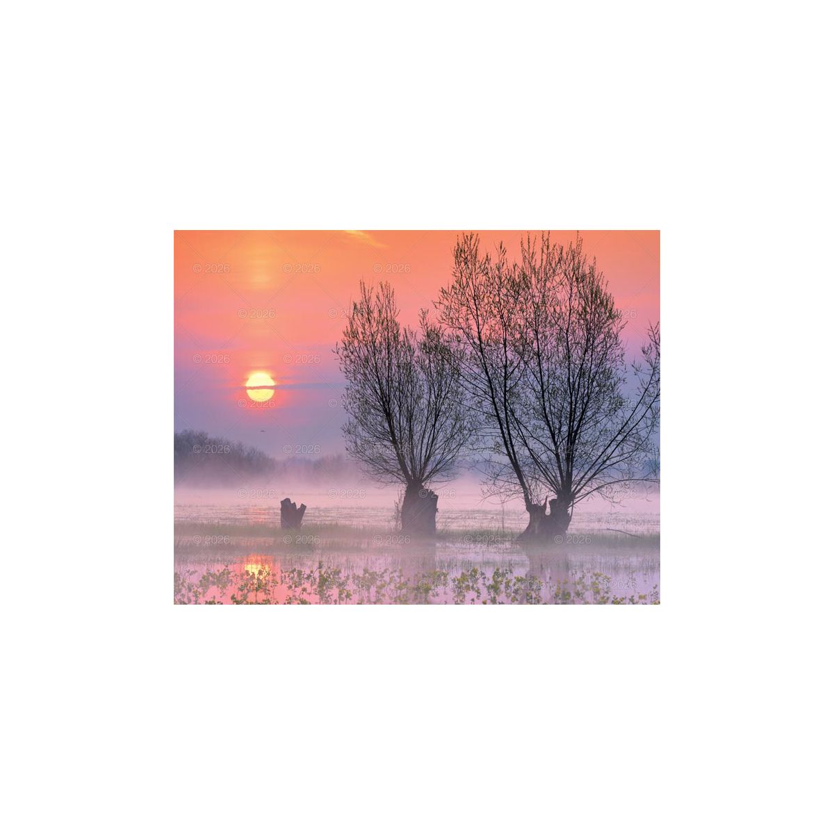 Kalendarz ścienny (401000) k:2915-377 PEJZAŻE POLSKIE 13-planszowe 320mm x 470mm Lucrum (RW01)