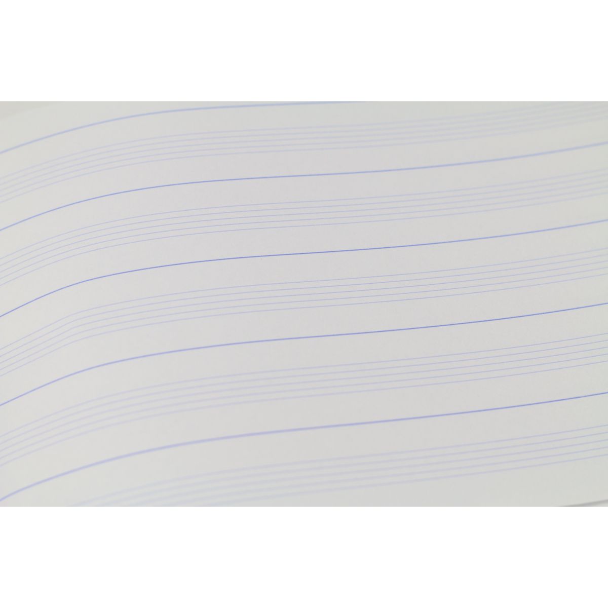 Zeszyt do nut Rexus A4 16k. 70g [mm:] 295x205 (607371)