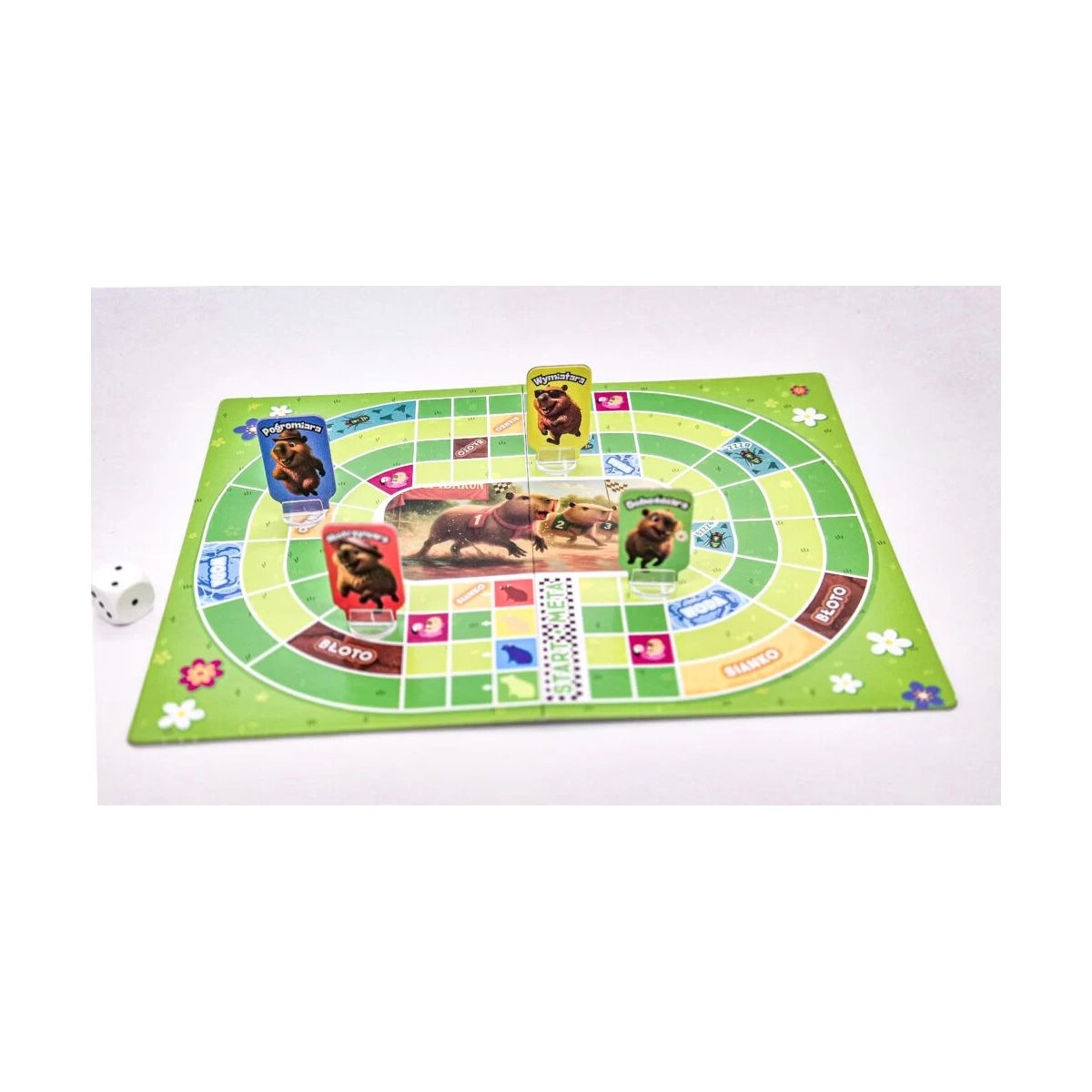 Gra planszowa Kapibary na Start Alexander