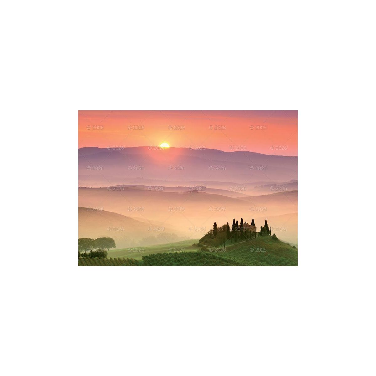 Kalendarz ścienny (401000) k:2915-377 13-planszowe 320mm x 470mm Lucrum (RW11)