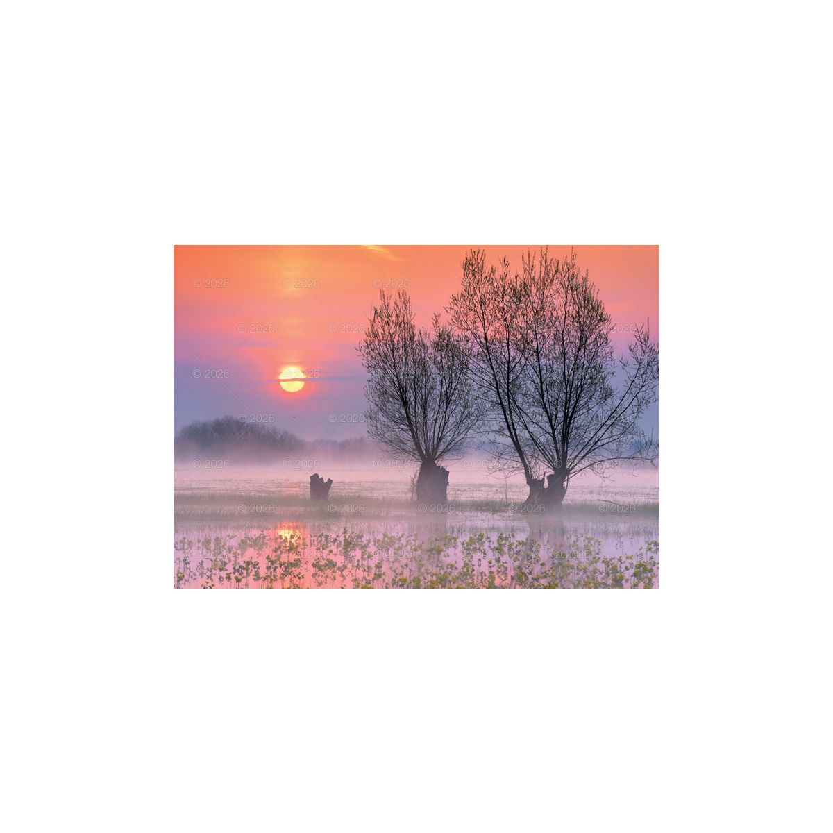 Kalendarz ścienny Pejzaże Polski rodzinny 2023 280mm x 200mm Lucrum (WL03)