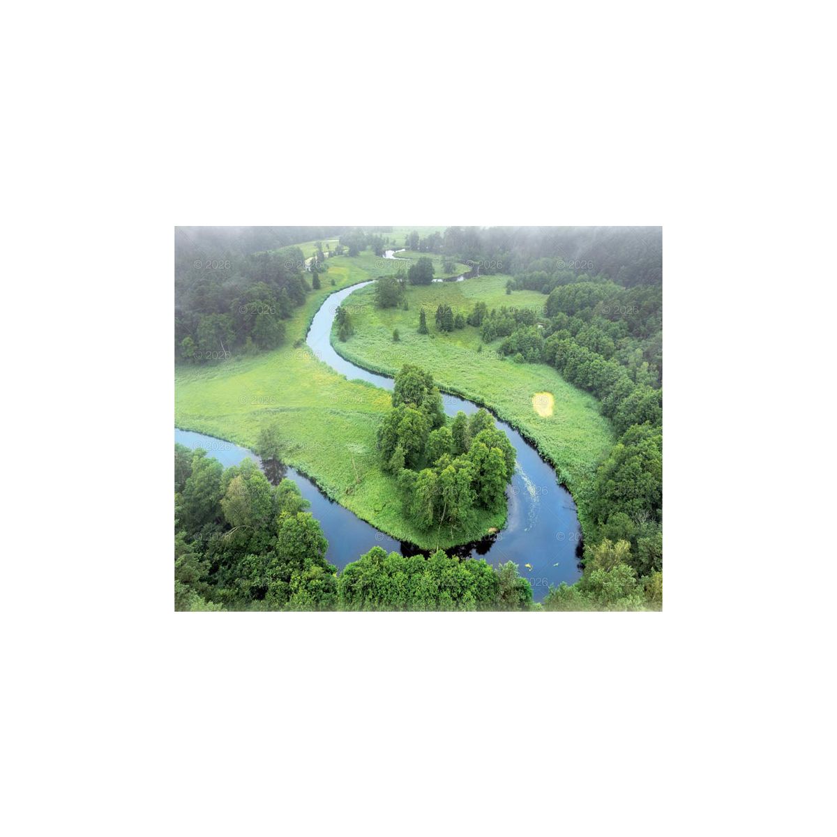 Kalendarz ścienny (401000) k:2915-377 LASY POLSKIE 13-planszowe 2024 320mm x 470mm Lucrum (RW04)
