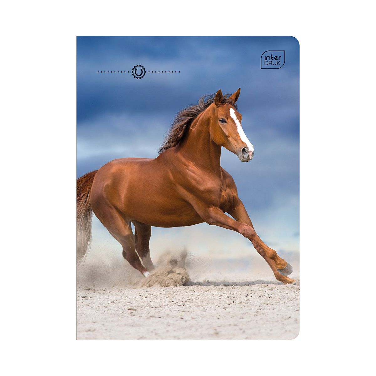 Zeszyt Interdruk WILD HORSES A5 16k. 70g linia kolor