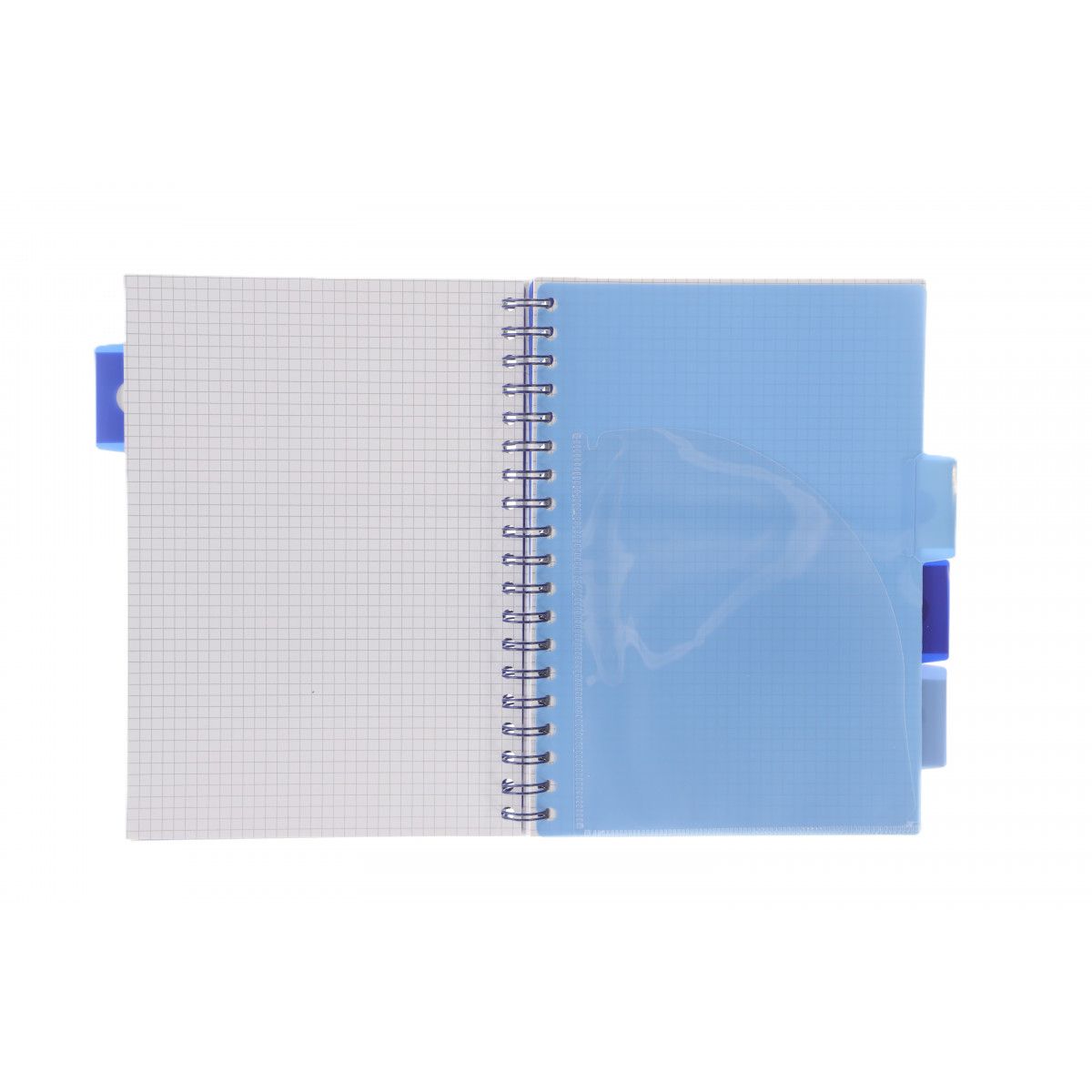 Kołozeszyt (kołonotatnik) ANIMALS czarny  TYGRYS B5 100k. 80g KRATKA Strigo (PADS024)