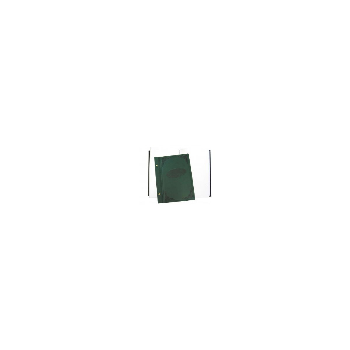 Kronika zielony 100k. [mm:] 255x345 Warta (1829-319-041)