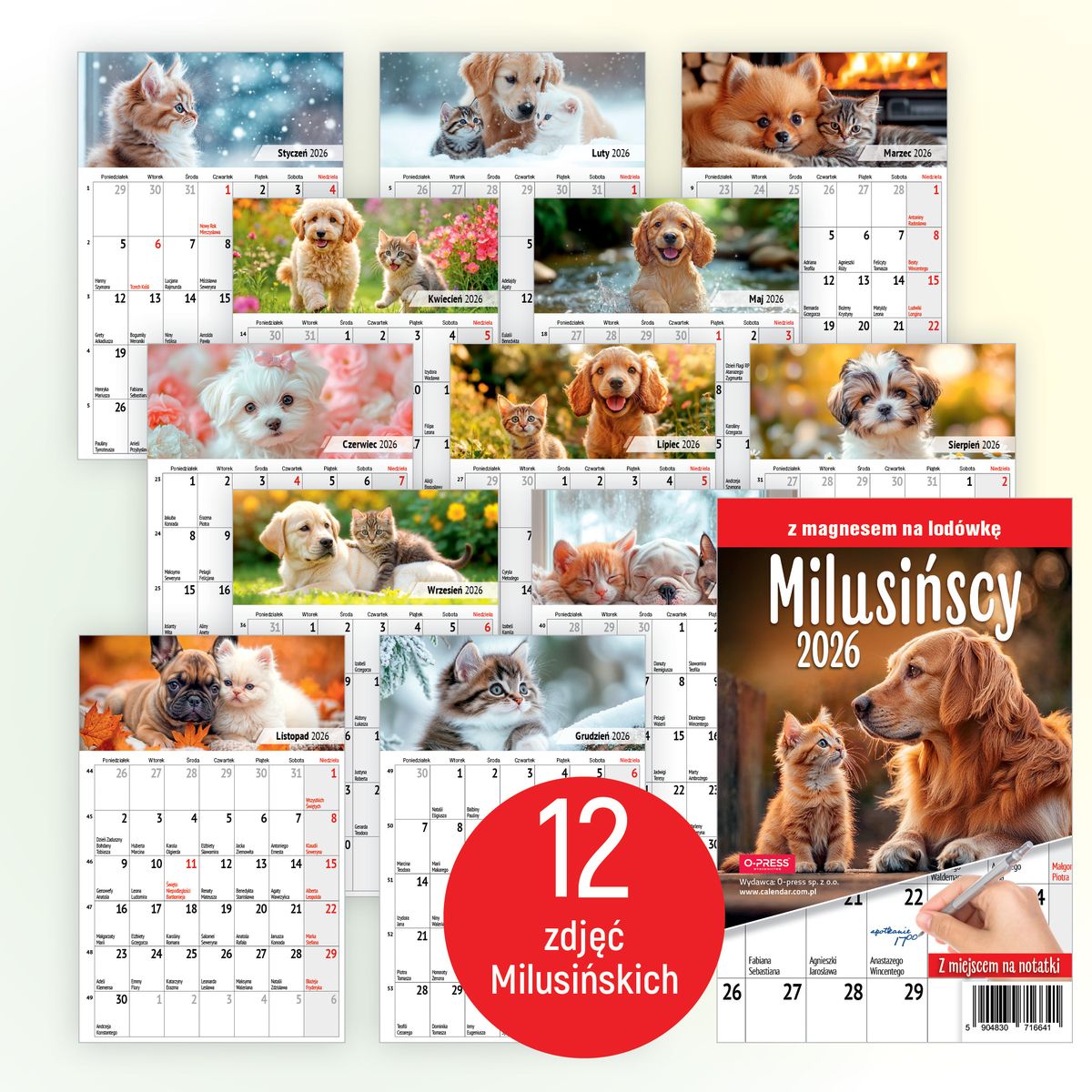 Kalendarz ścienny (401000) k:2915-377 na lodówkę z magnesem 137mm x 210mm Press (MILUSIŃSCY)