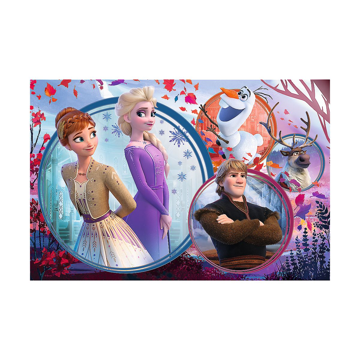 Puzzle Trefl Disney Frozen Ii Siostrzana przygoda 160 el. (15374)