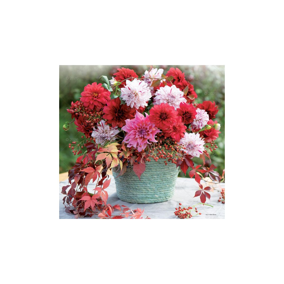 Kalendarz ścienny (401000) k:2915-377 13-planszowe 320mm x 470mm Lucrum (RW12)