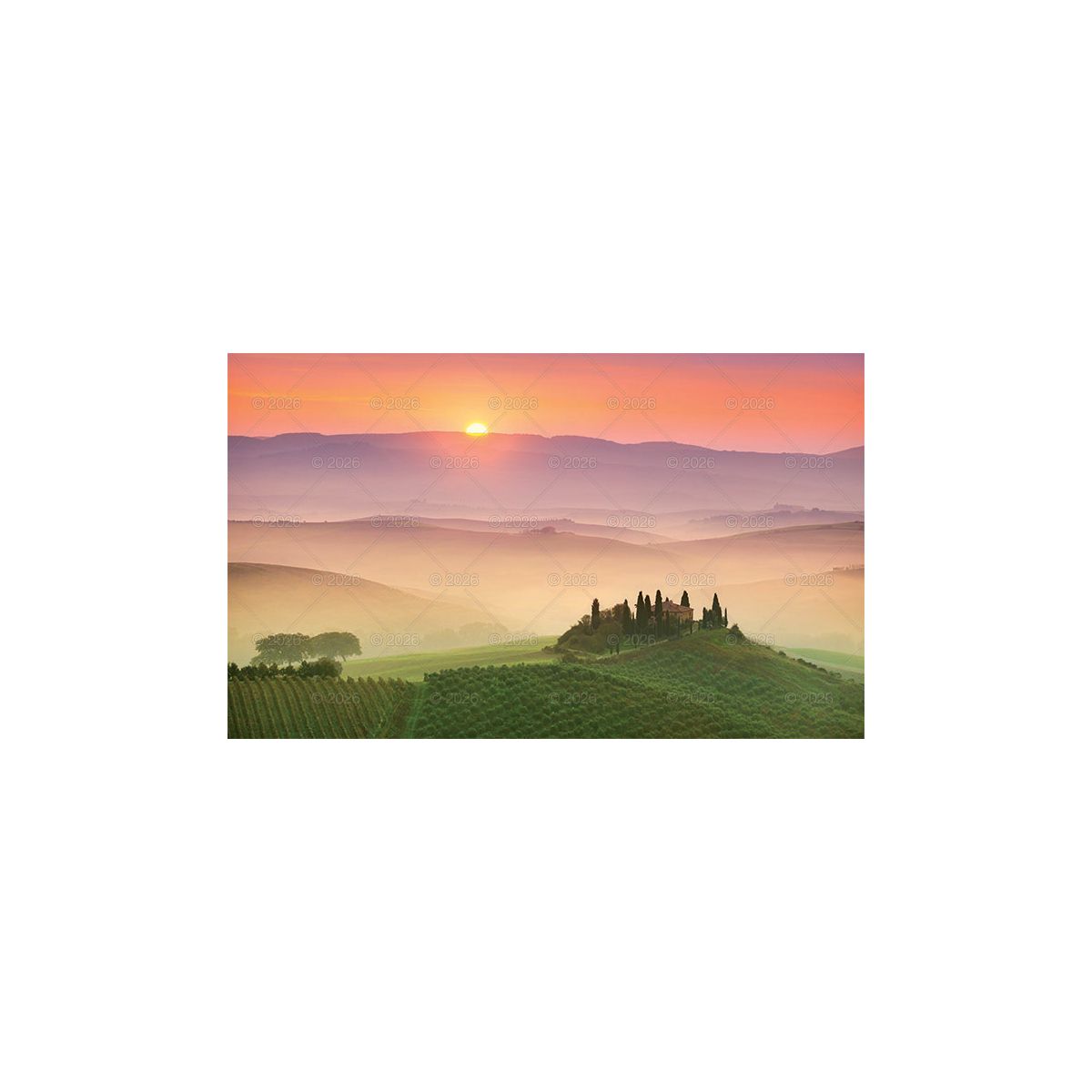 Kalendarz ścienny (401000) k:2915-377 trójdzielny 320mm x 860mm Lucrum (KT12)