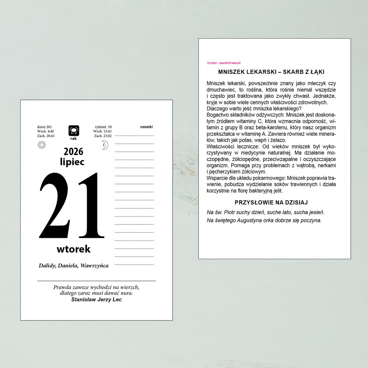 Kalendarz ścienny (401000) k:2915-377 ZDZIERAK FAMILIJNY A6 Press
