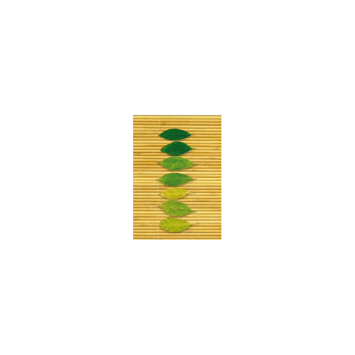 Brulion A6 64k. krata Kreska