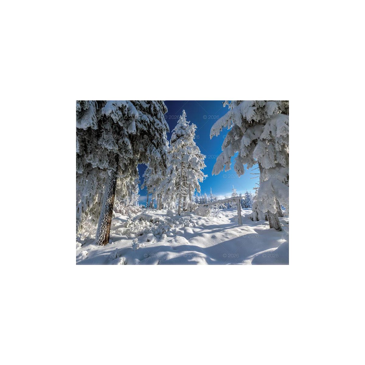 Kalendarz ścienny (401000) k:2915-377 13-planszowe 320mm x 470mm Lucrum (RW04)