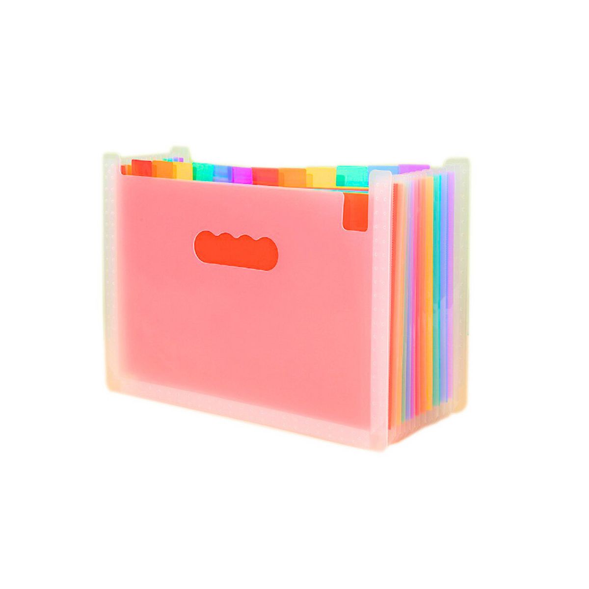 Teczka z przegródkami Teczka Organizer Na Dokumenty Kolorowe Zakładki Kieszenie A4 Lean (20218)