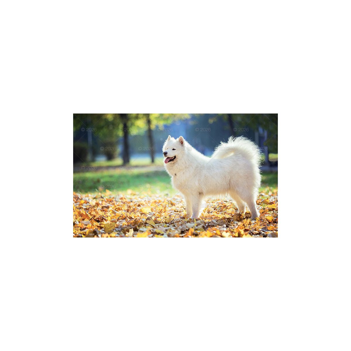 Kalendarz ścienny (401000) k:2915-377 trójdzielny x 320mm Lucrum (KT14)