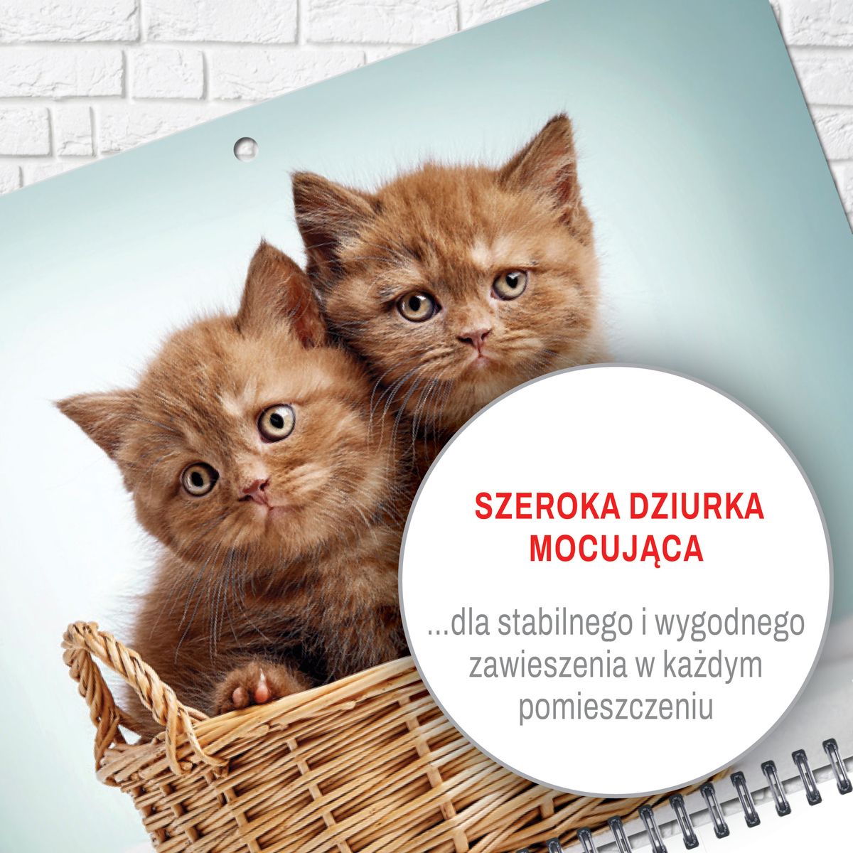 Kalendarz ścienny (401000) k:2915-377 KOT 310mm x 790mm Press