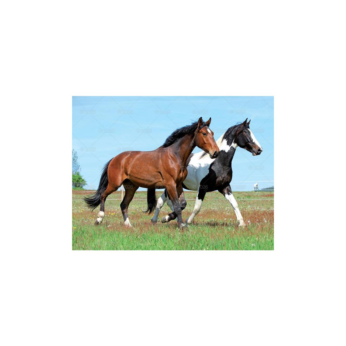 Kalendarz ścienny (401000) k:2915-377 13-planszowe 320mm x 470mm Lucrum (RW14)