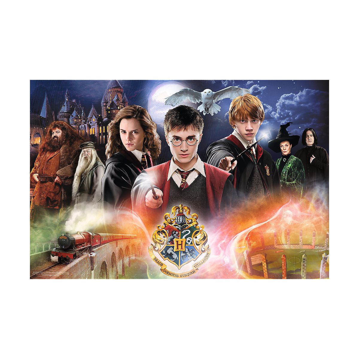 Puzzle Trefl Harry Potter 300 el. (23001)