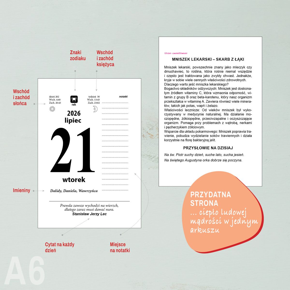 Kalendarz ścienny (401000) k:2915-377 ZDZIERAK KUCHNIA POLSKA A6 Press