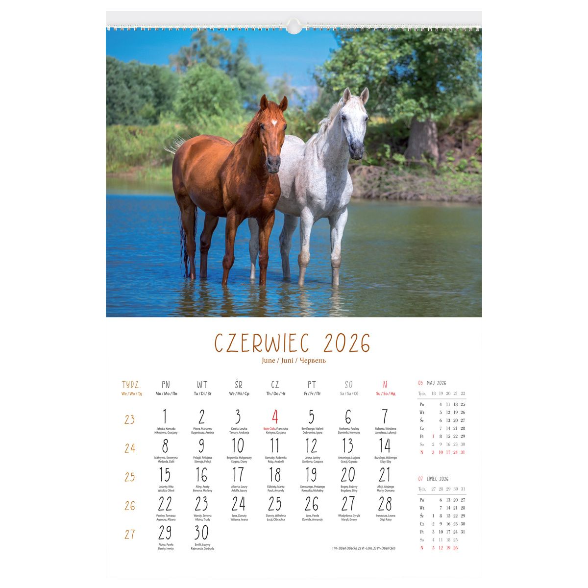 Kalendarz ścienny (401000) k:2915-377 13-planszowe 320mm x 470mm Lucrum (RW14)