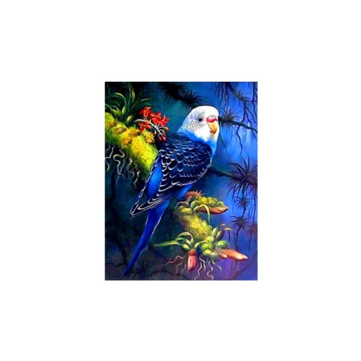 Zestaw kreatywny Norimpex Diamentowa mozaika niebieska papuga 40x30cm (NO-1007439)