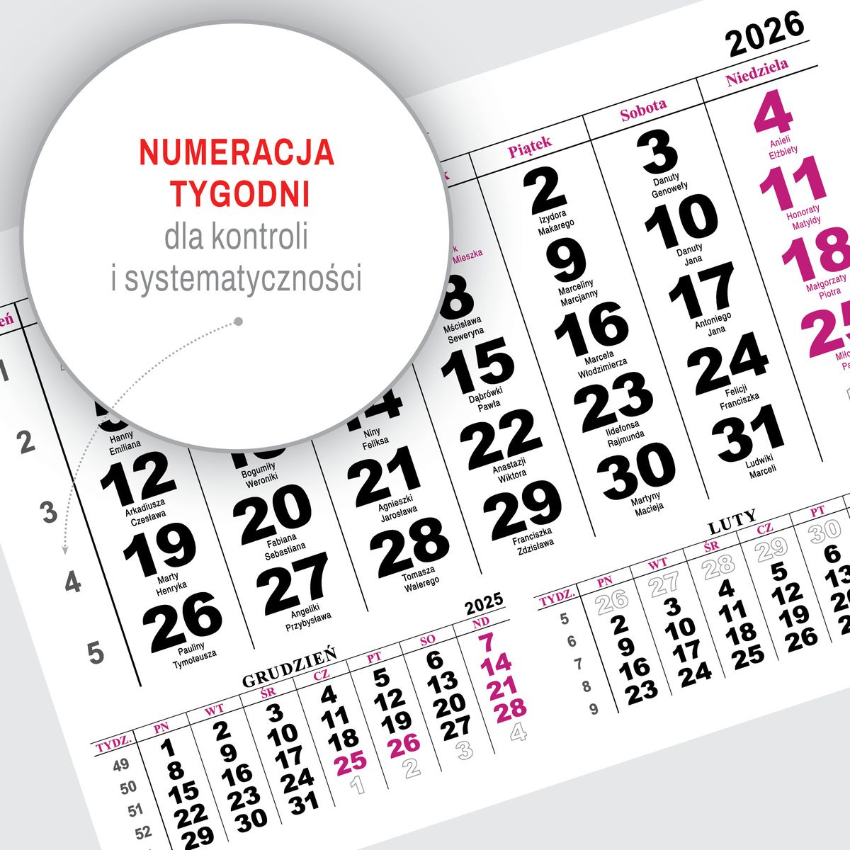 Kalendarz ścienny (401000) k:2915-377 JEDNODZIELNY PIES A4 210mm x 295mm Press