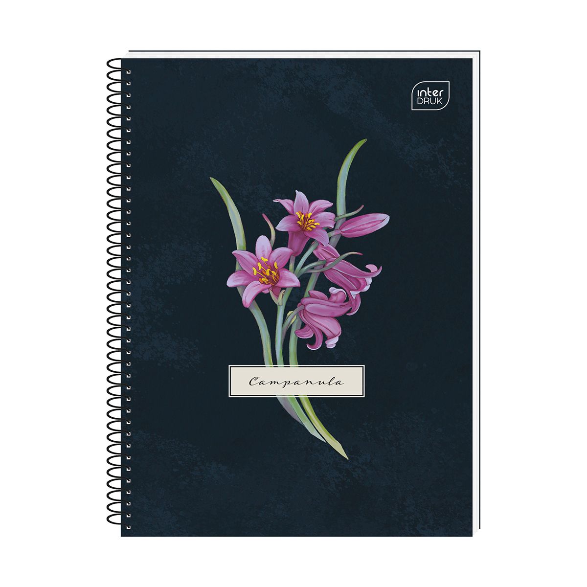Kołozeszyt (kołobrulion) Interdruk Hybrid Fiori A6 80k. 70g krata