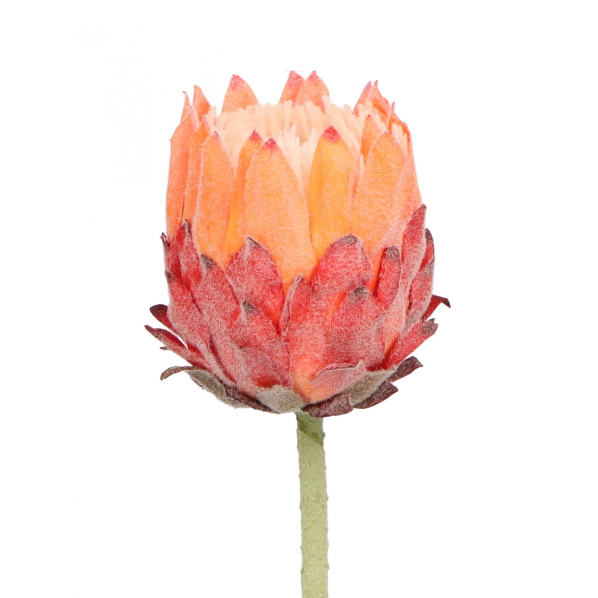 Kwiaty karczoch 65cm Home And Garden (8226)