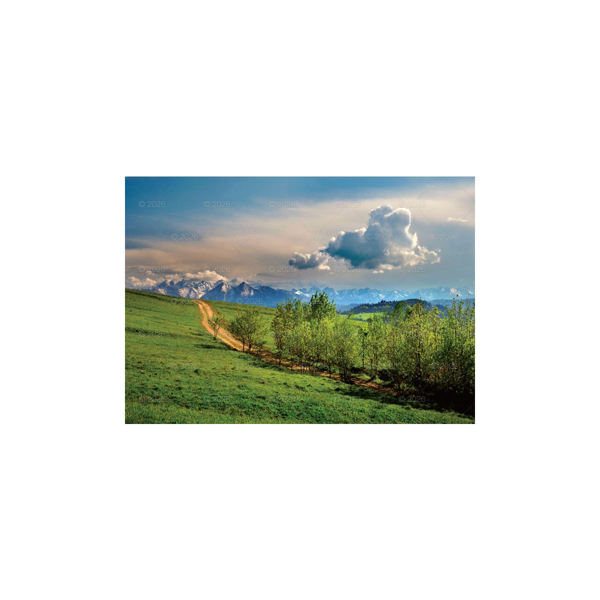 Kalendarz ścienny Pejzaże Polski rodzinny 2023 280mm x 200mm Lucrum (WL03)