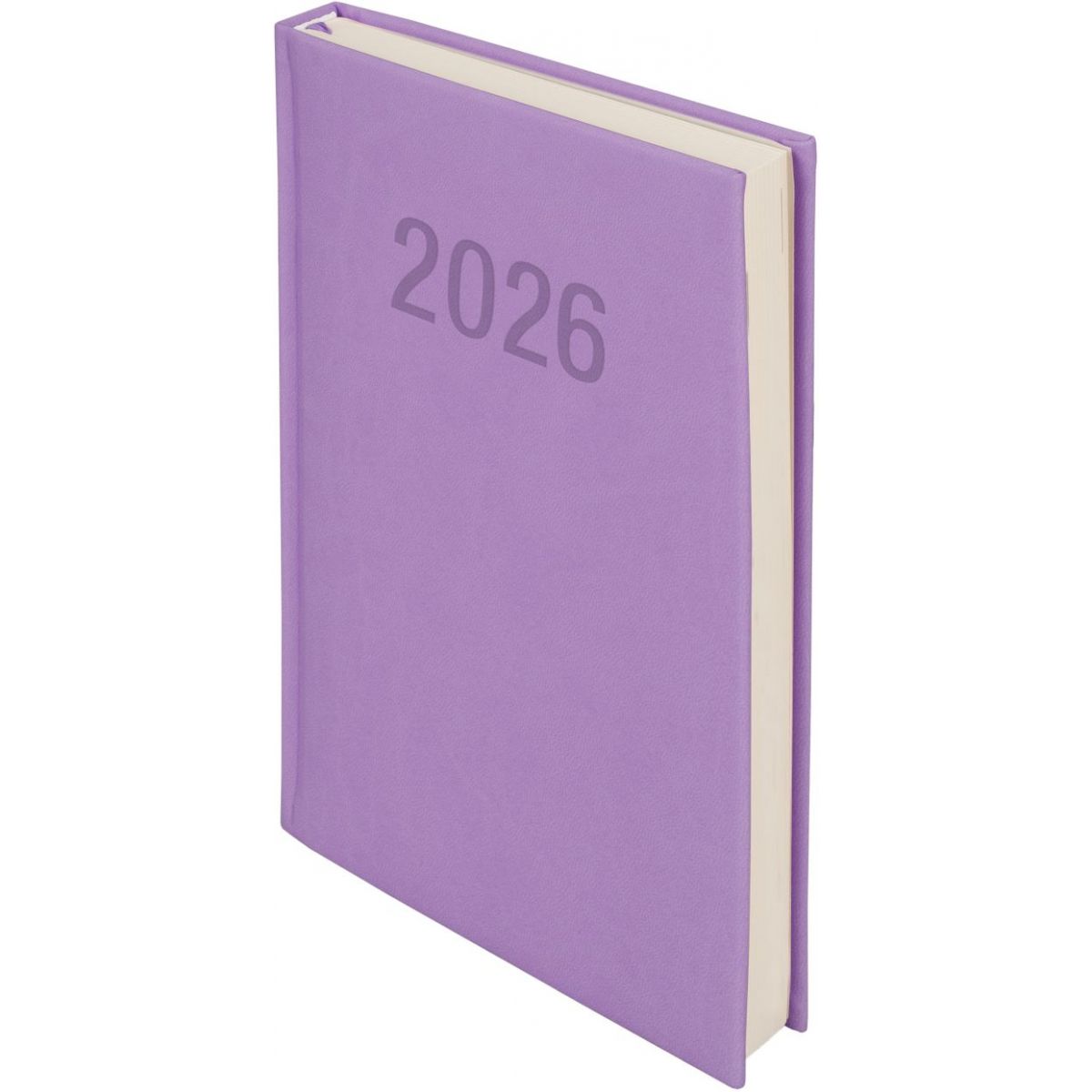 Kalendarz książkowy (terminarz) 2026 COLOROFIX DNS A5 Antra (LILA)