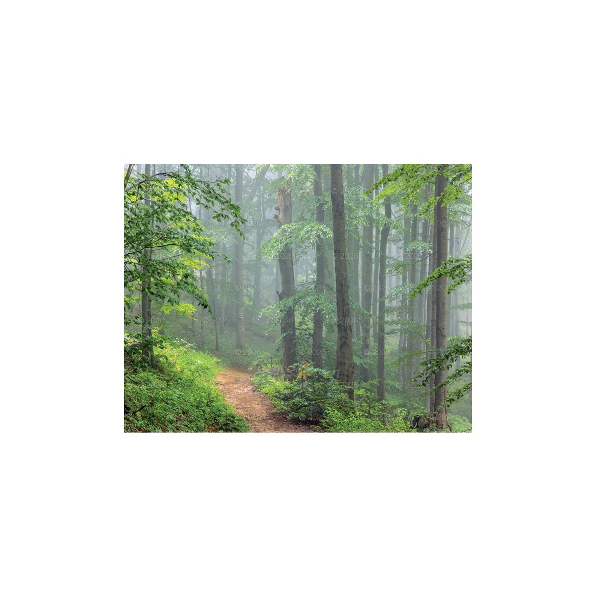 Kalendarz ścienny (401000) k:2915-377 13-planszowe 320mm x 470mm Lucrum (RW04)