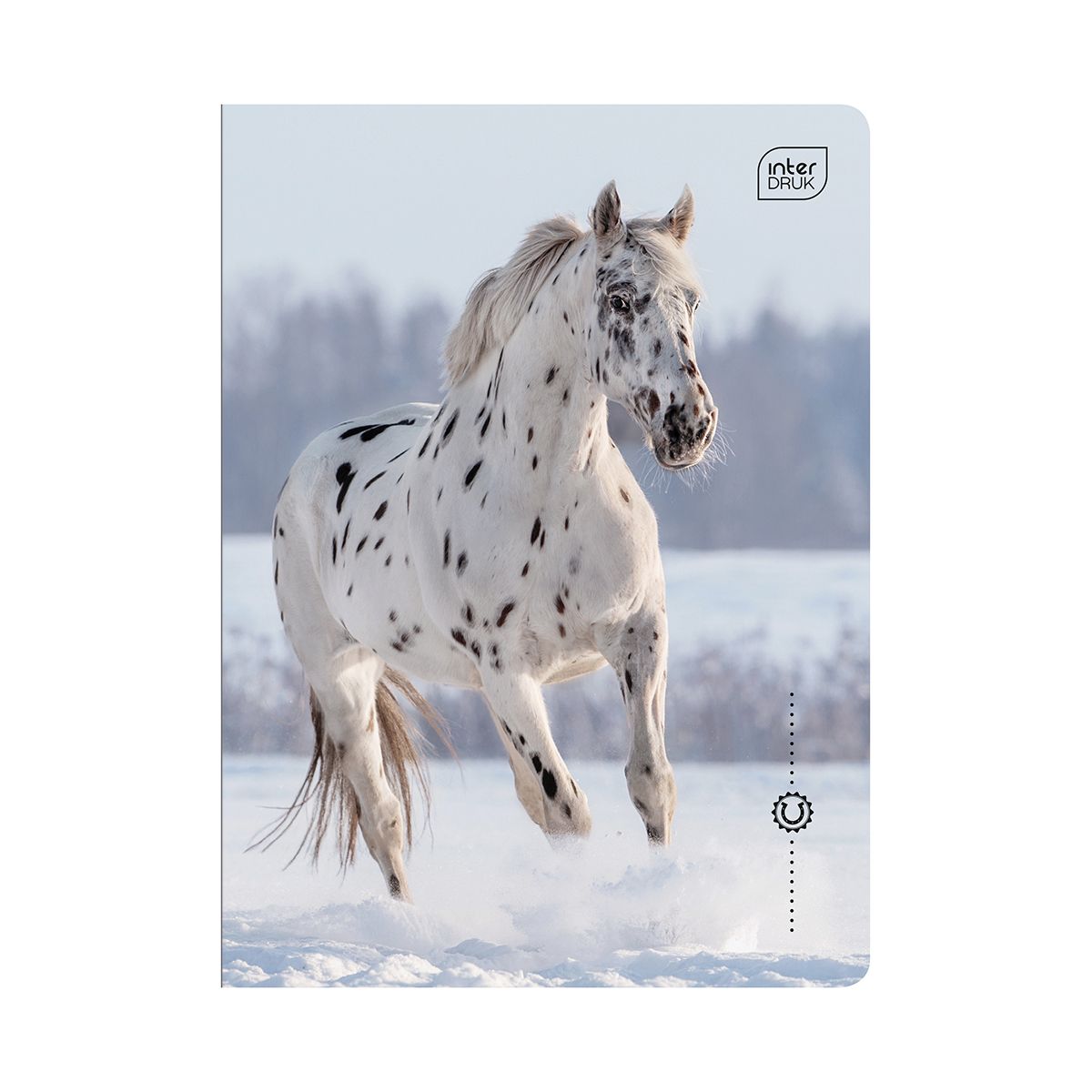 Zeszyt Interdruk WILD HORSES A5 16k. 70g linia kolor