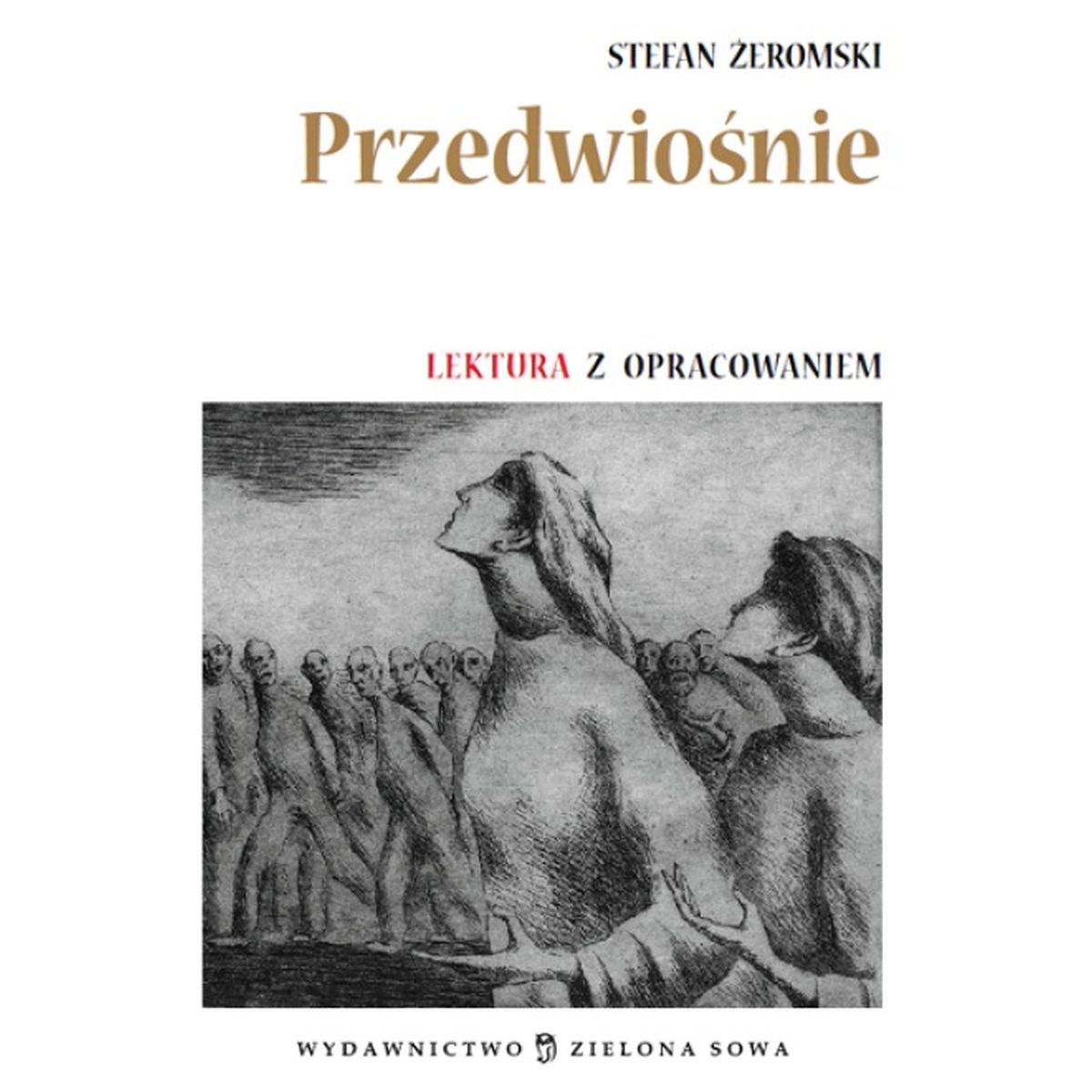 Książeczka edukacyjna Ameet mój brat niedźwiedź (RAD16)