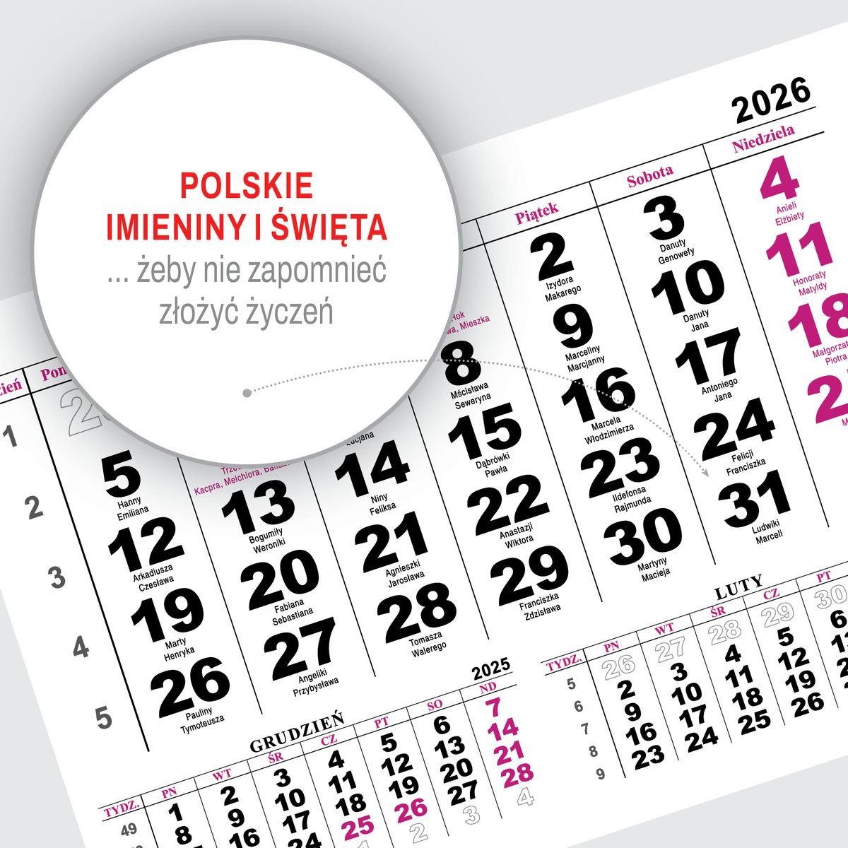 Kalendarz ścienny (401000) k:2915-377 JEDNODZIELNY PIES A4 210mm x 295mm Press