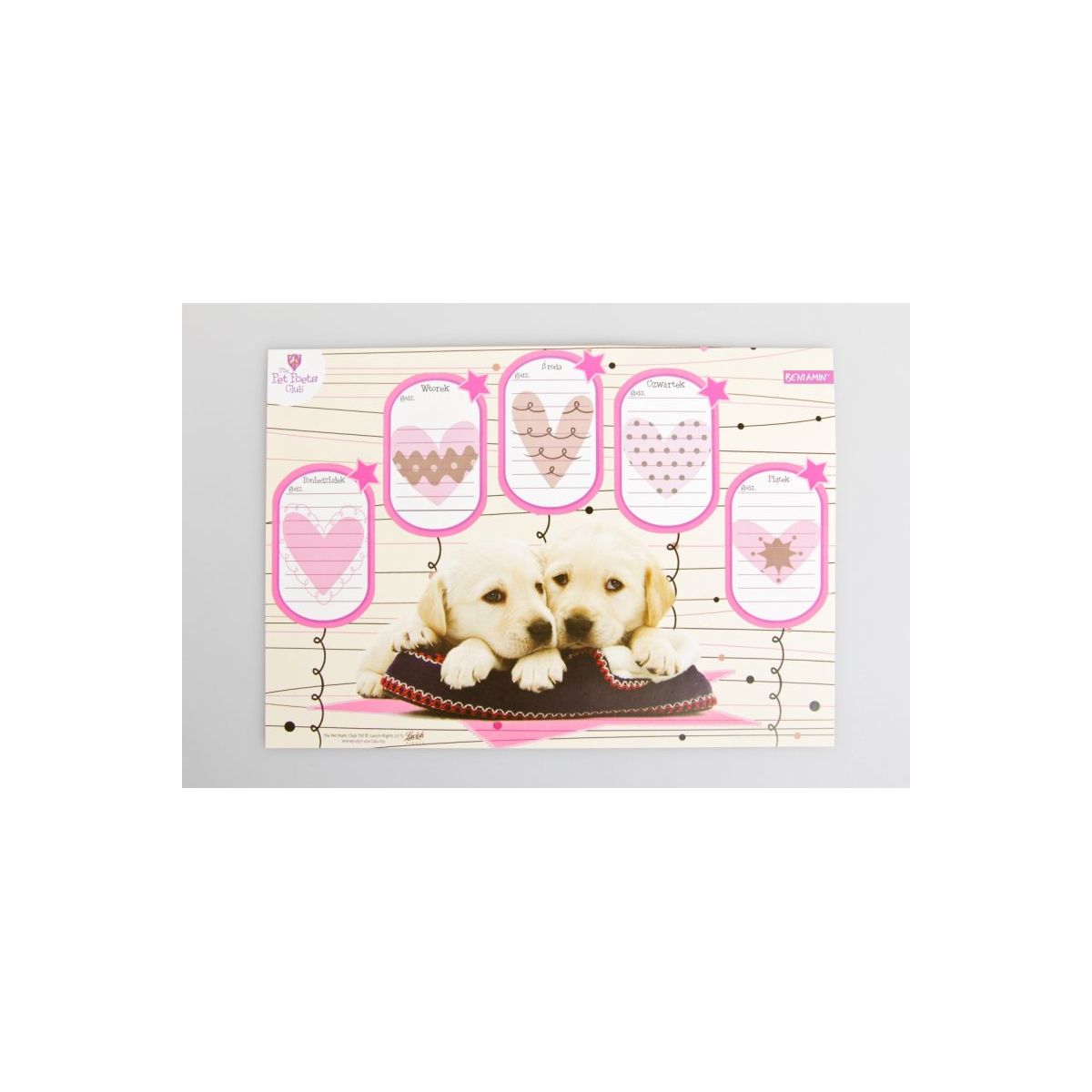 Plan lekcji Beniamin Pet Poets Club z magnesem (600342)